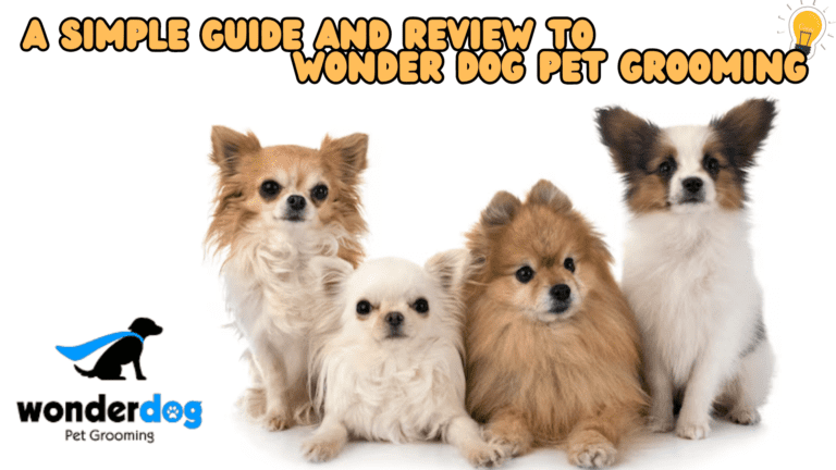 A Simple Guide and Review to Wonder Dog Pet Grooming