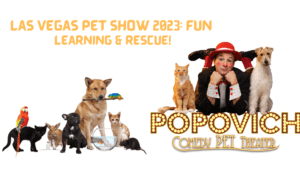 Las Vegas Pet Show 2023 Fun Learning & Rescue!