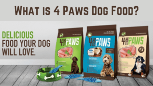 What is 4 Paws Dog Food